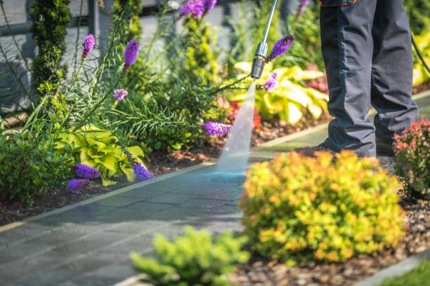 Best Fence Cleaning  in Parsippany, NJ